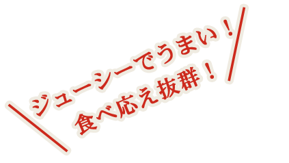 ジューシーでうまい